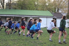 IMG_3567