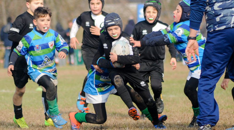 Un'azione di gioco dell'Under 10 del Rugby Mirano tratta dal raggruppamento di Jesolo del 19.11.2017. Foto Claudio Castelli.
