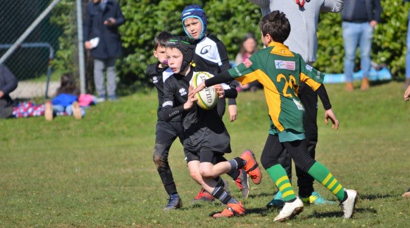 Uld Wild West Rugby Mirano 1957 ASD - Under 11